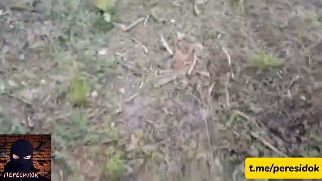 Разведчики обезвредили дрон на оптоволокне не обычным способом