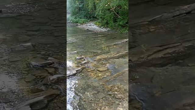 1000003689.mp4