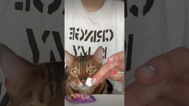 фд. варюшеньки