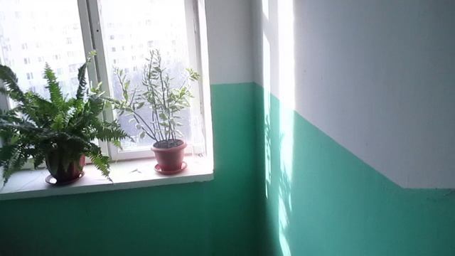 Лифт Ecomaks-(ЩЛЗ) @ г. Москва, ул. Верхние Поля, д. 7к3-4 (2321)