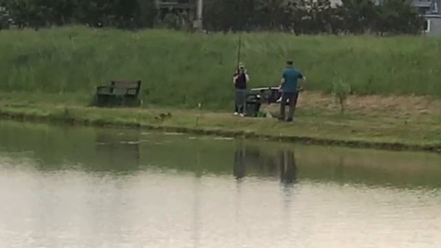 поимка карпа на малом водоёме