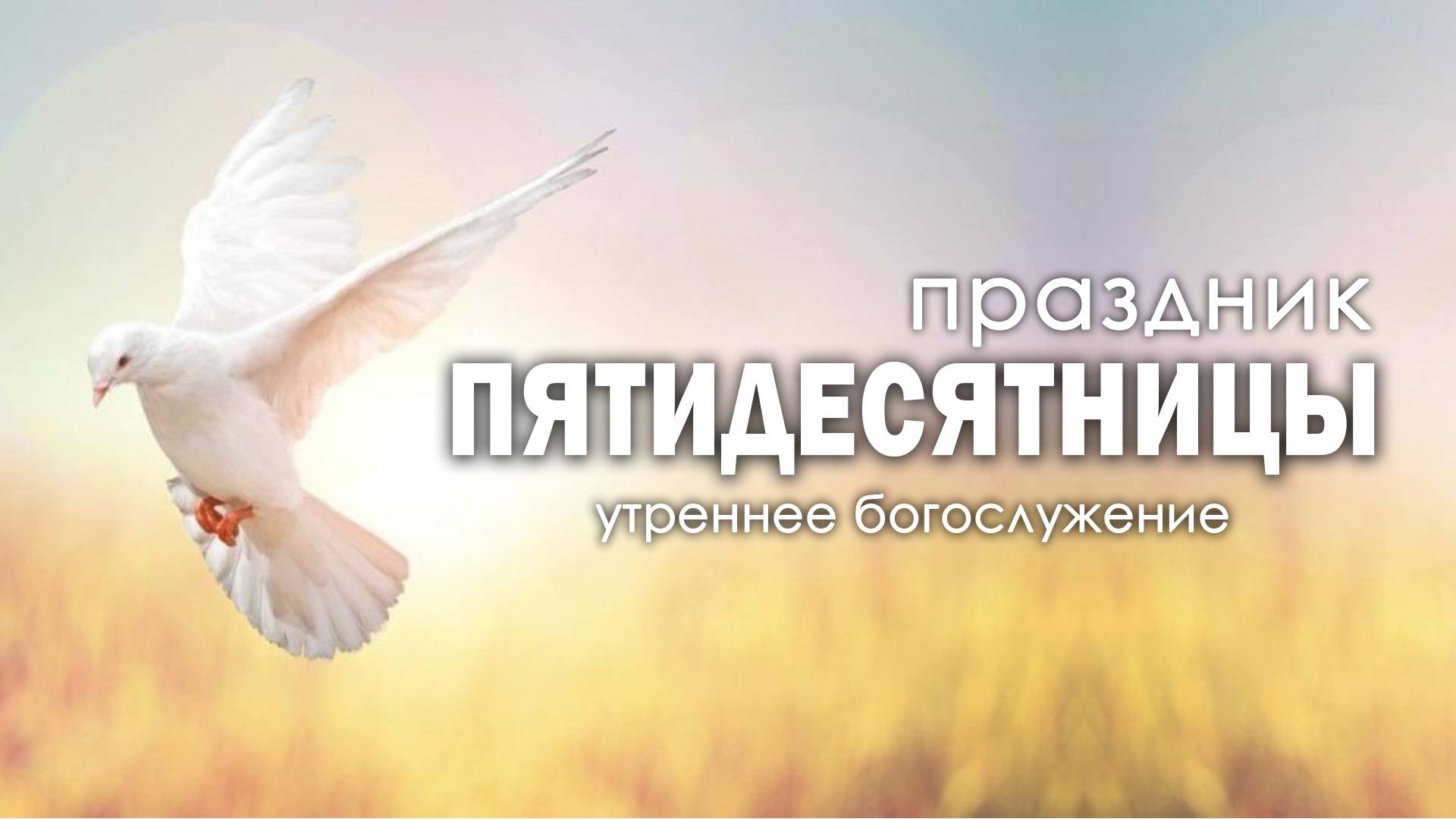 8 июня 2025 10-00 / Праздник Троицы /