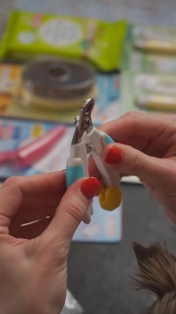 Профессиональный загнутый когтерез с предохранителем Doggy salon 83484