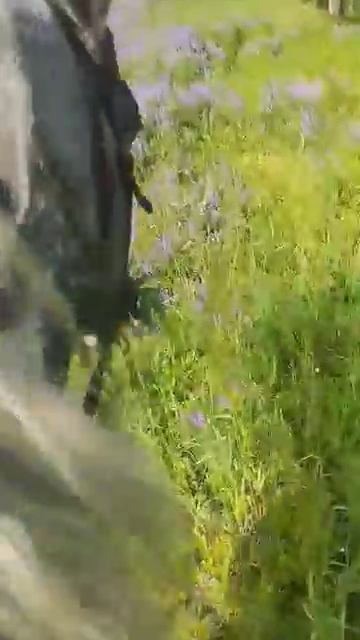 #мудрыемысли