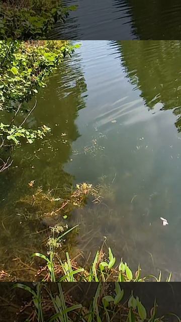 1000073675.mp4