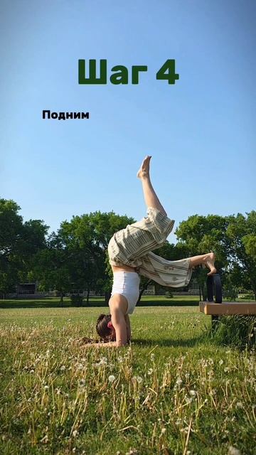 Пинча Маюрасана | Пошаговая инструкция | ЙогаБанда