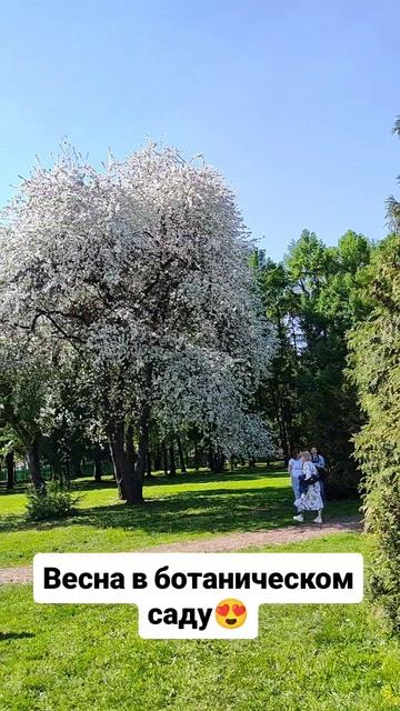 Весна в ботаническом саду 😍