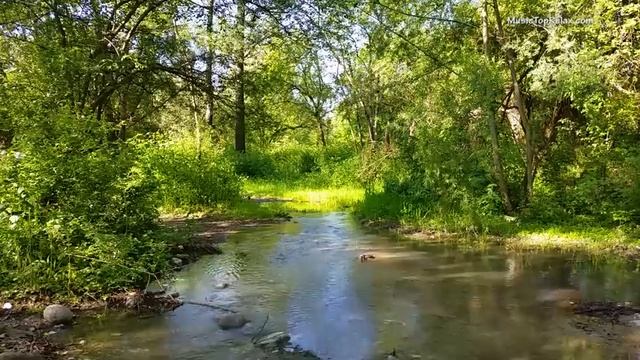 Умиротворяющие звуки природы часть 15