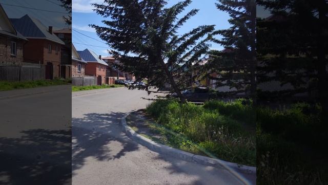 Помогите ёлочке.