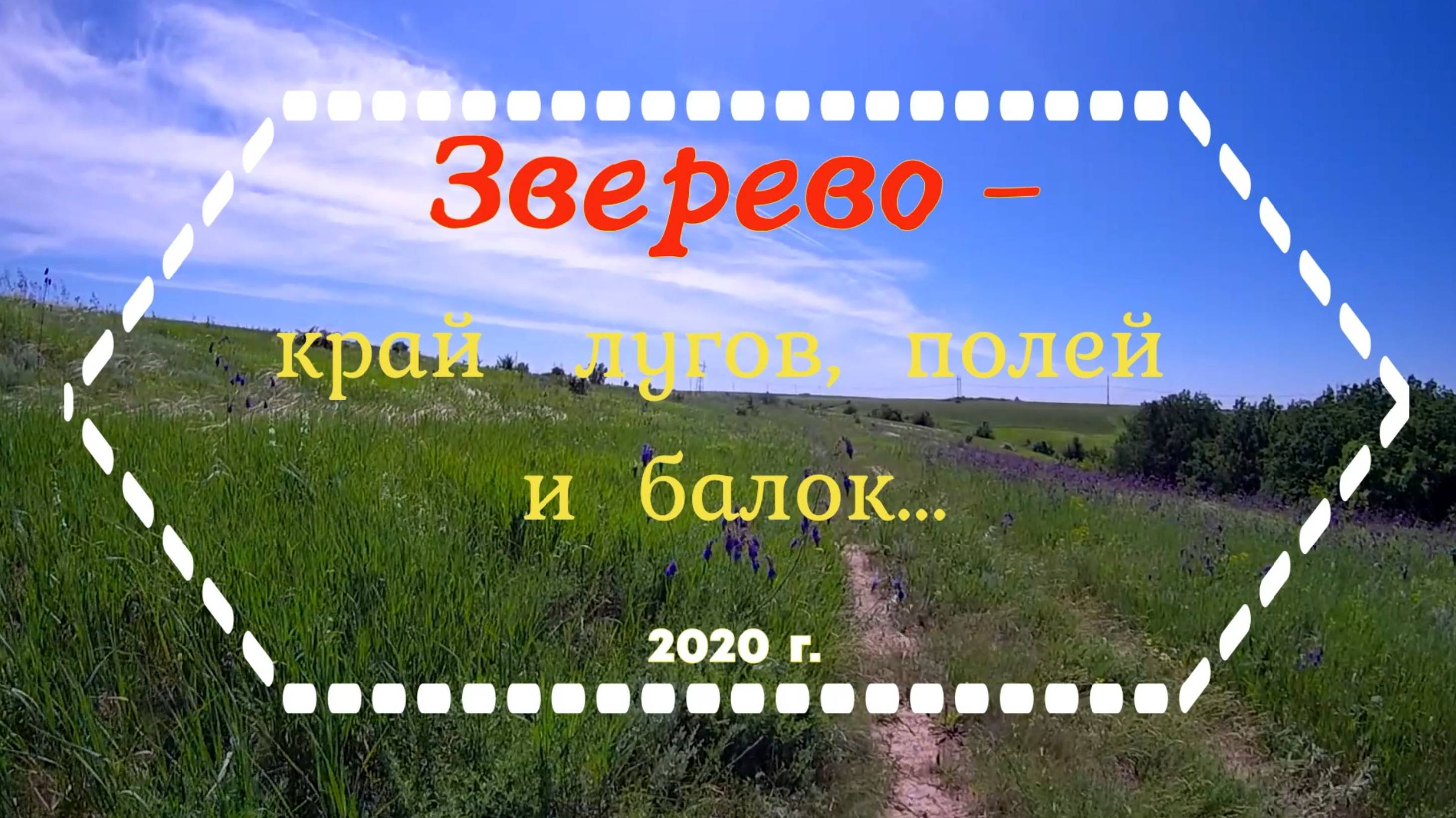 ЗВЕРЕВО - край лугов, полей и балок.../2020 г.