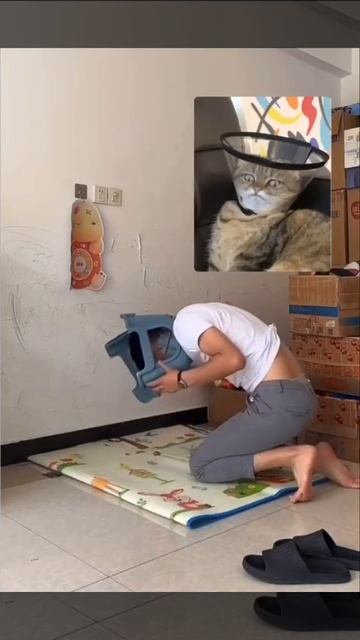 Смешные Shorts