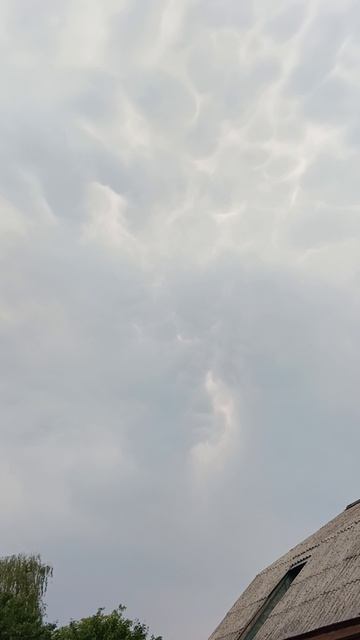 1000014538.mp4