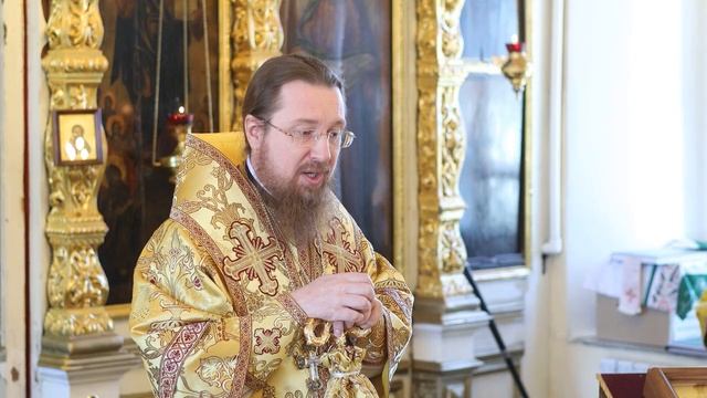 "Боюсь вам это говорить". Епископ Венёвский Феодорит.