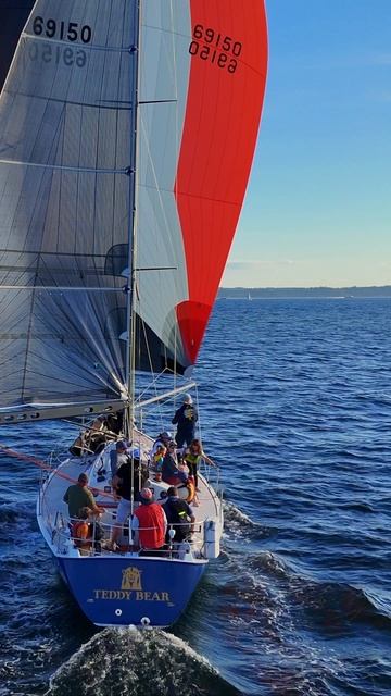 ⛵️ Парусник Teddy Bear ловит ветер!
Парусная лодка Teddy Bear грациозно скользит по водам залива Ши