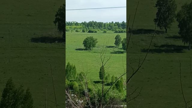 Релакс природа  дача