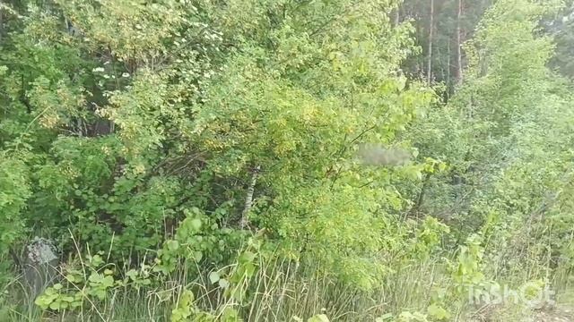 Обь. Каракан. Лодка. Сибирские необьятные просторы
