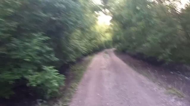Заброшенная территория рядом с деревней.