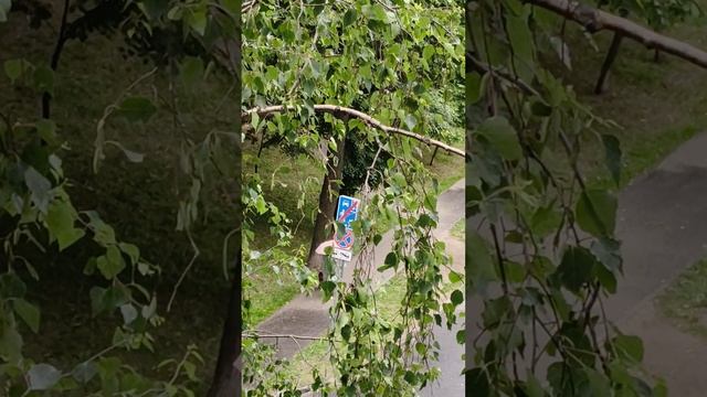 Гроза начинается 08.06.2025 год.