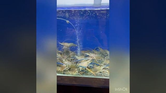 #настроение #счастливаяженщина #смешныевидео