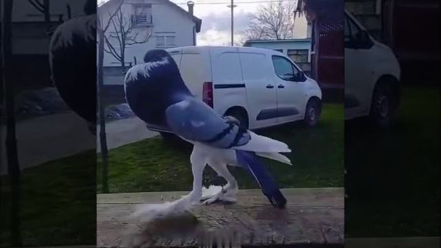 Ну точно, Филя
