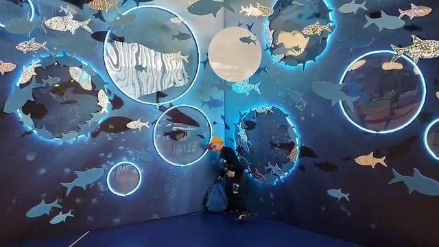 VID-20250608-WA0005.mp4