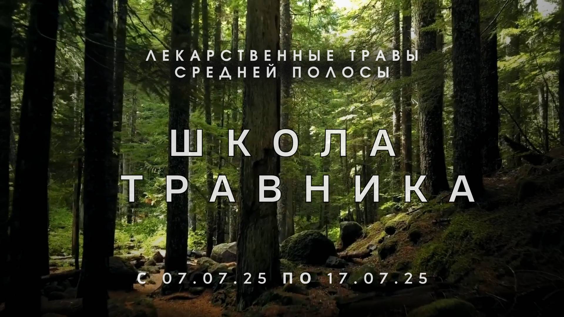 Школа травника