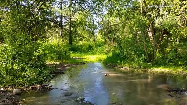Умиротворяющие звуки природы часть 4