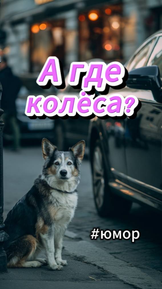#юмор Украли колёса у машины