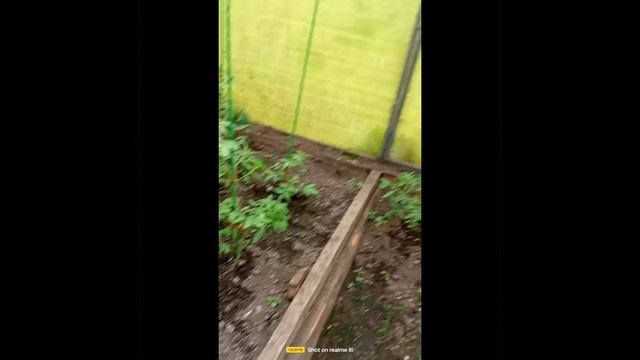1000067318.mp4
