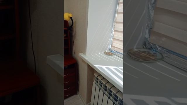 1002258745.mp4