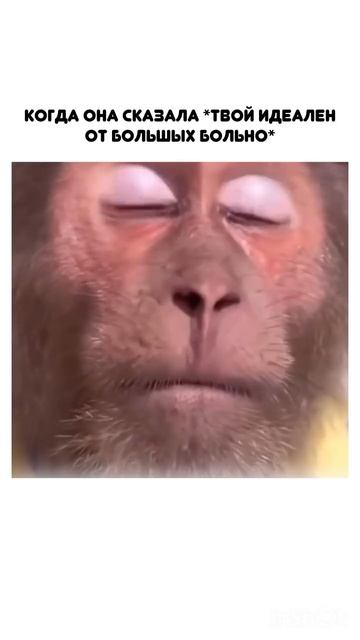 Твой идеален ❤️