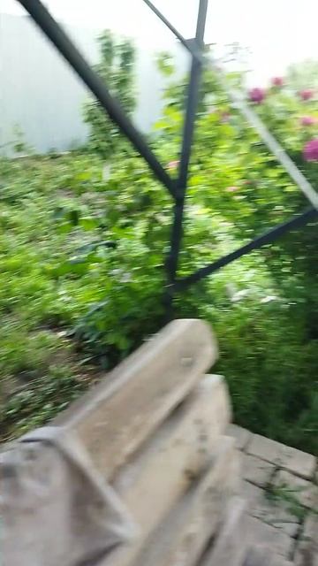 08-06-2025