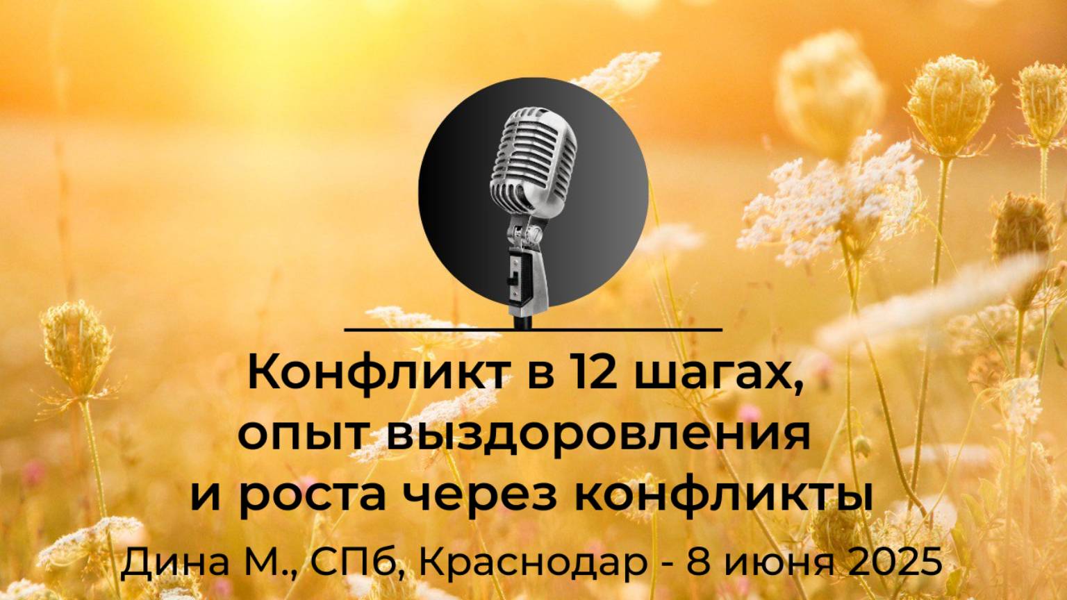 "Конфликт в 12 шагах, опыт выздоровления и роста через конфликты", Дина М.СПб, Краснодар, 8.06.2025