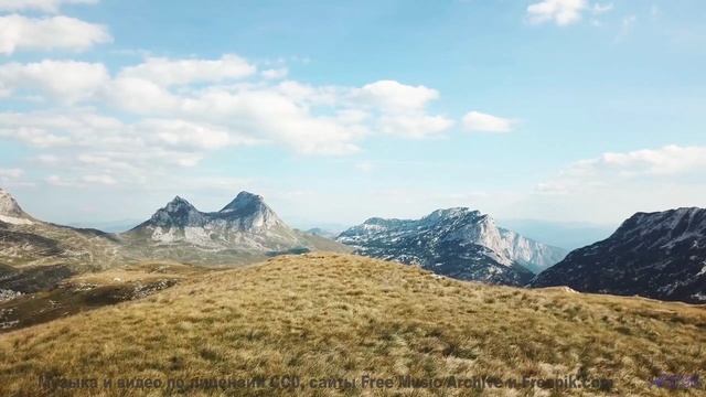 Мелодия проникает в кровь вместе с видом облаков - Birdwatching -- Big Quiet -- Live at Monty Hall,