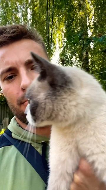 КИСКА или КОТ❓ #cute #cutecat #short
