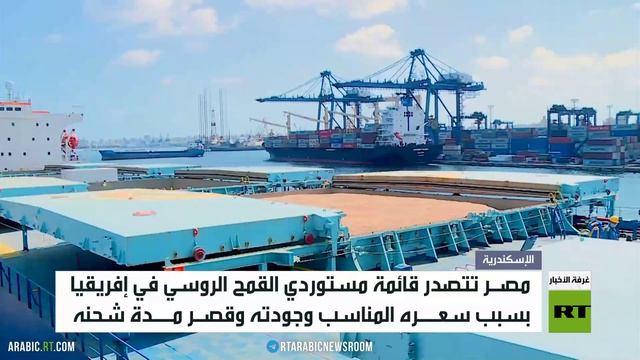مصر.. أكبر مستورد للقمح الروسي بإفريقيا
