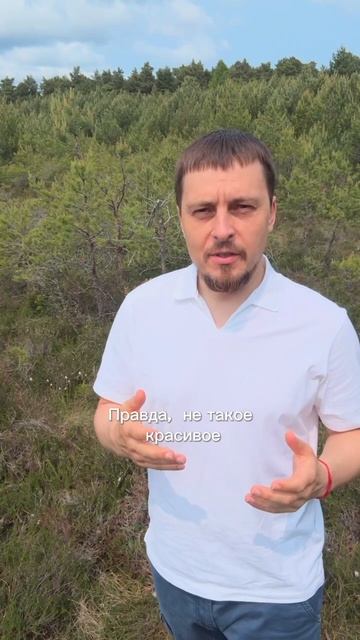 Как женщине спасти отношения от болота и вернуть в них жизнь