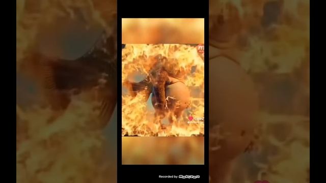 Какой это итальянский мем сильнее