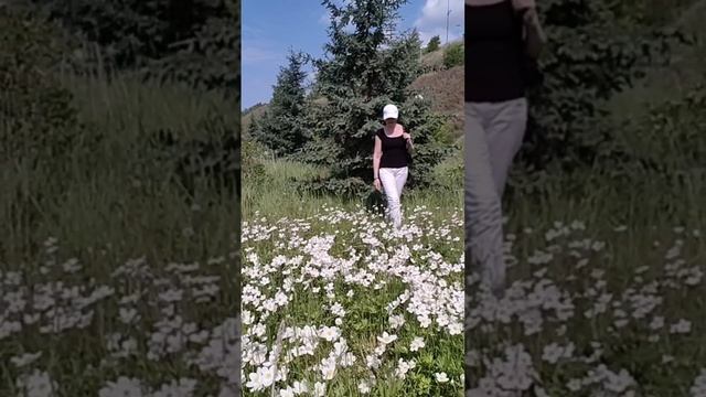 Это жизнь.