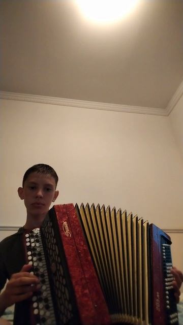 Виновата ли я #баян #баянист#топбаянист #игранабаяне #музыка