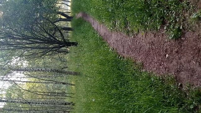 МИНУТА СЧАСТЬЯ!