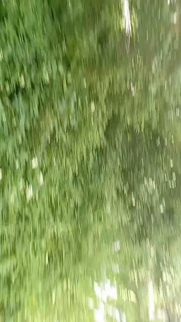 scene_output.mp4