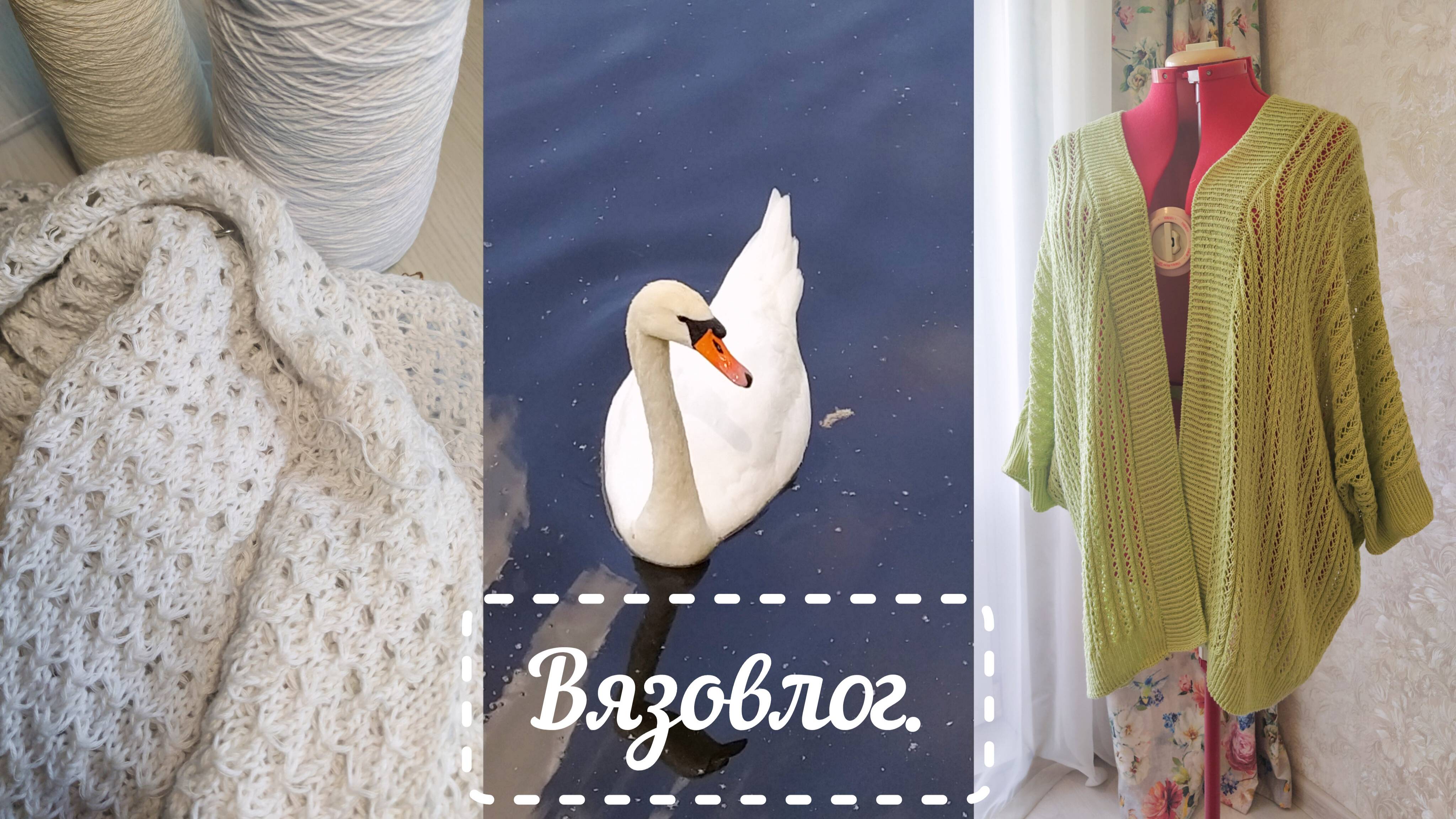 Вязовлог.