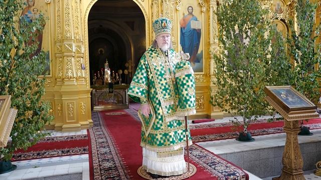 Проповедь митрополита МАРКА в день празднования Пятидесятницы. Рязань, 2025 г.