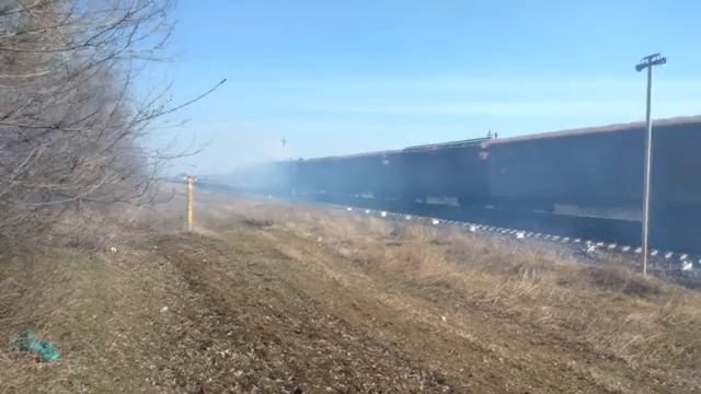 пришел с братом поснимать жд движ на перегоне в прекрасное прохладное утро )) жизнь удалась  👍