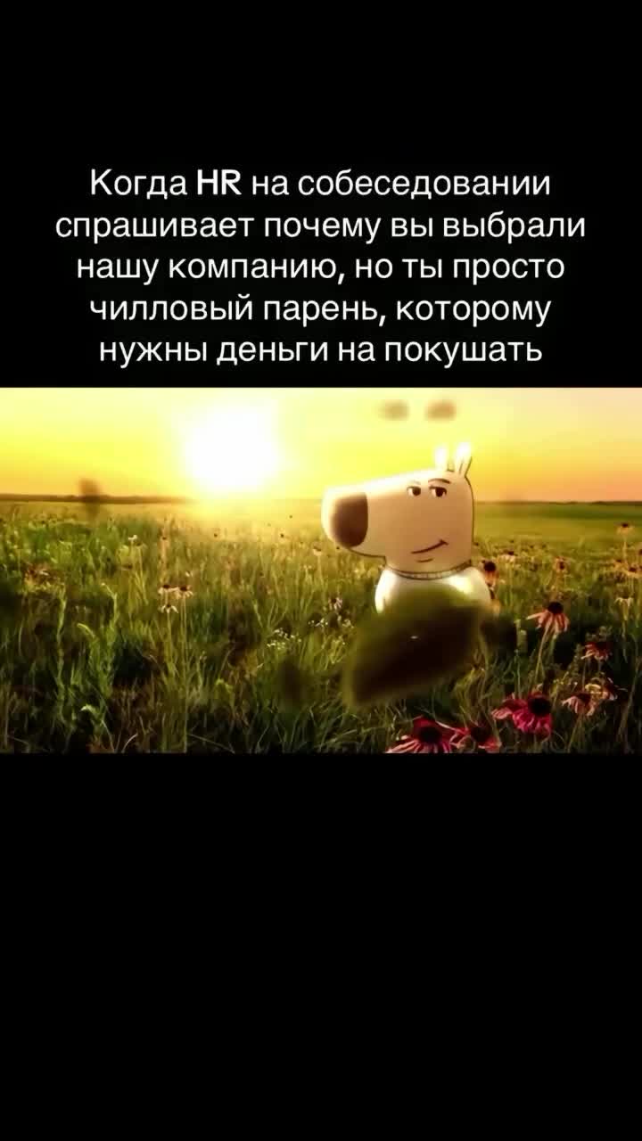 Мем chill guy/чилловый парень/собака