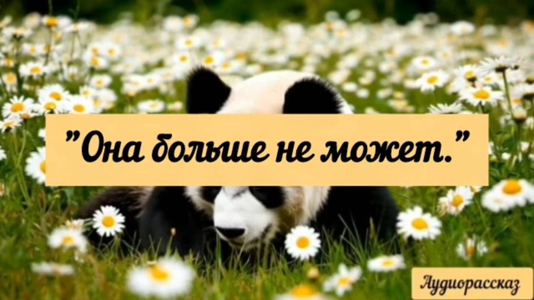 Не хочет она, а не не может.