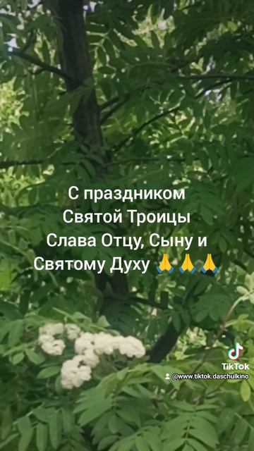 С праздником Святой Троицы 🙏🙏🙏