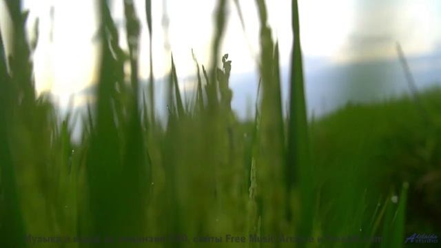 Аккорды льются вместе с дождём и ветром в душу - Lost In Your Eyes -- HoliznaCC0 -- Lost