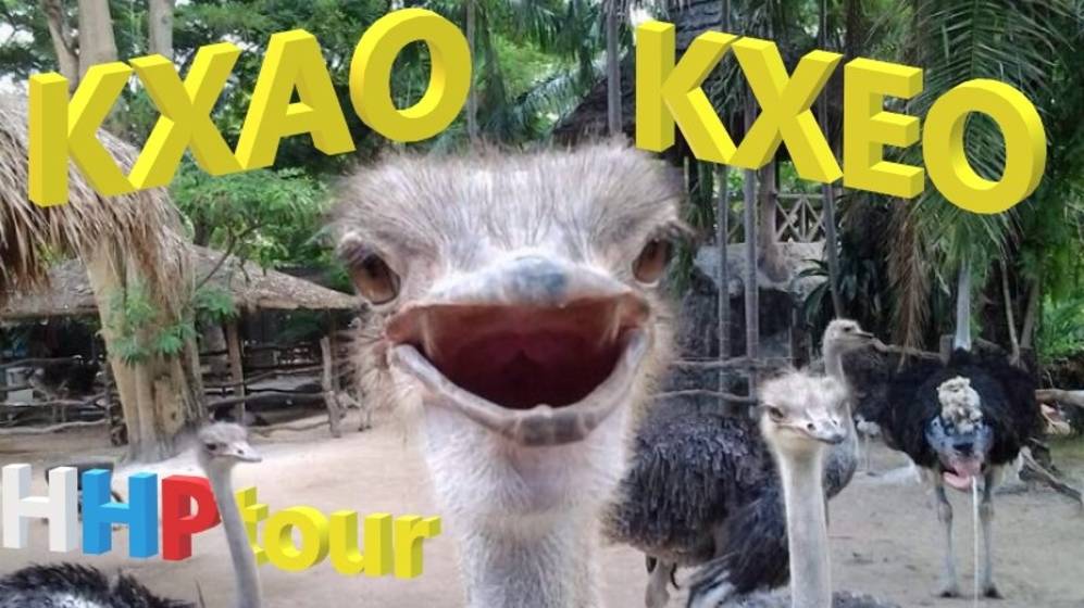 Кхао Кхео | Контактный зоопарк в Паттайе | HHP tour